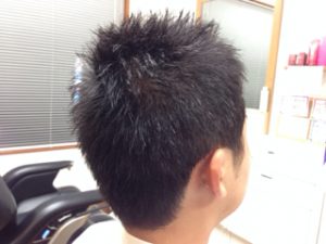 app-005148600s1383949719_1