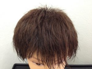 app-018601800s1362093073