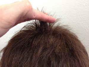 app-053968300s1362093087