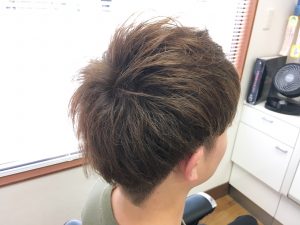 プラチナアッシュ